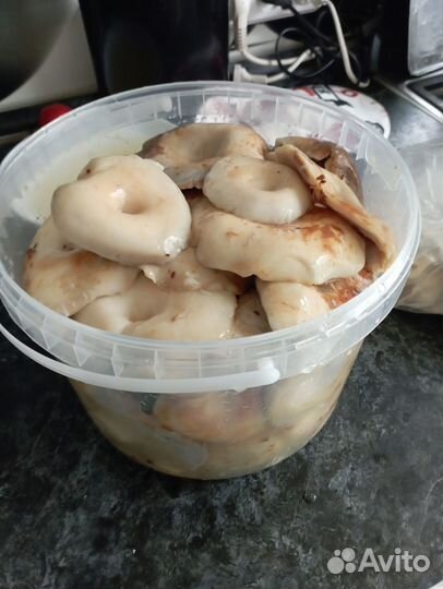 Грибы. Белые грибы. Икра из груздей. Грузди