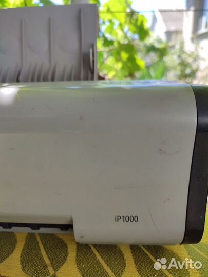Принтер canon pixma ip1000