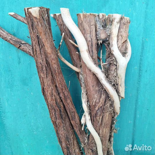 Коряга для интерьера