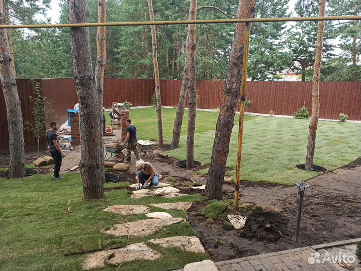 Рулонный газон и автополив под ключ