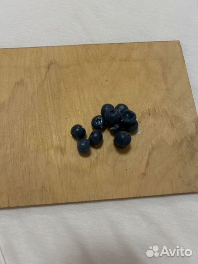 Табо сквиши