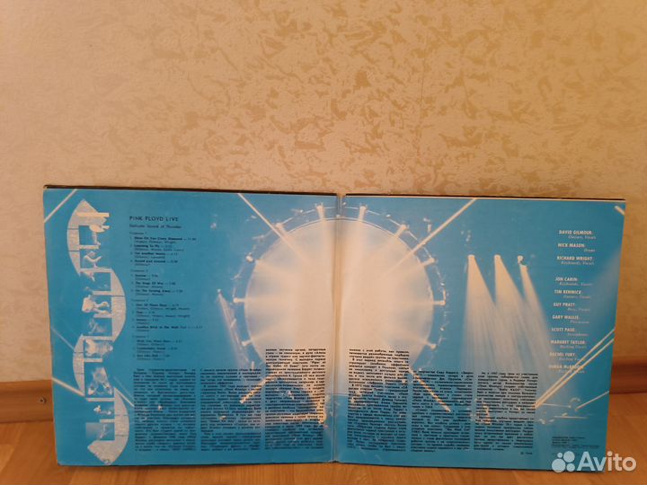 Pink Floyd Delicate sound of Thunder