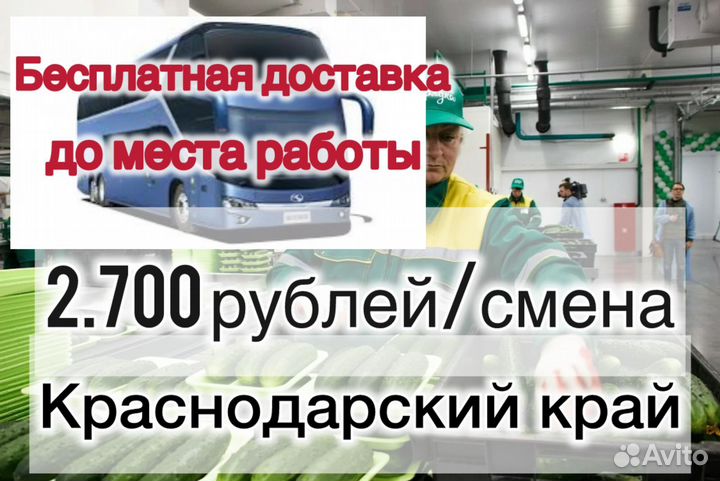 Упаковщик. Вахта с проживанием и питанием