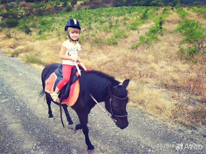 Прогулки на пони в Ялте Обучение В.Е