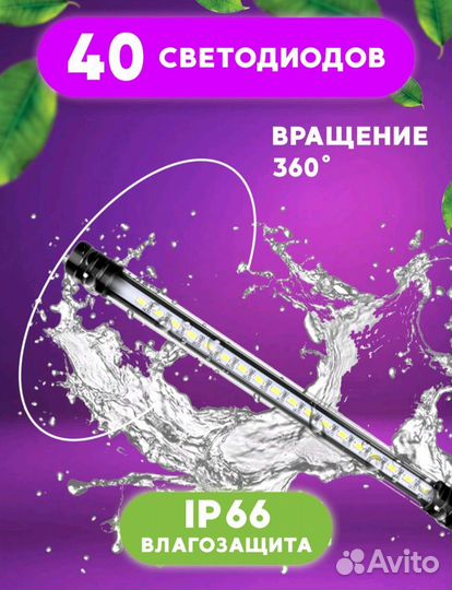 Фитолампа для растений