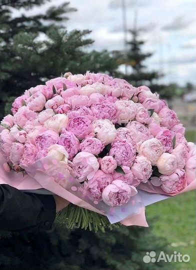 Пионы Букет пионов Доставка цветов