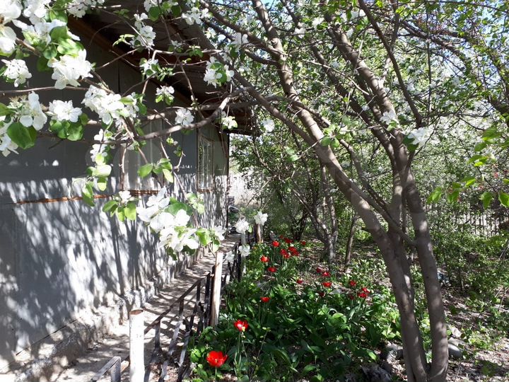 Таунхаус 70 м² на участке 9,3 сот.