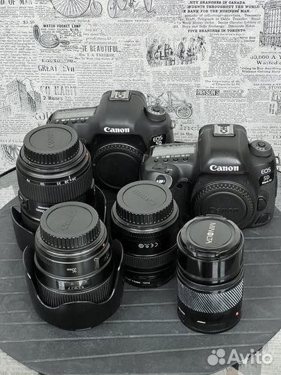 Объектив Canon EF 24-70 mm f/ 2.8 L II USM