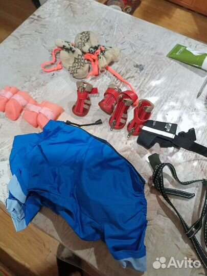 Одежда для маленьких собак