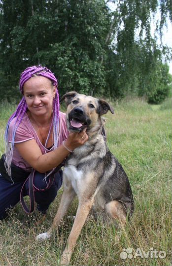 Собака в добрые руки, Мирта