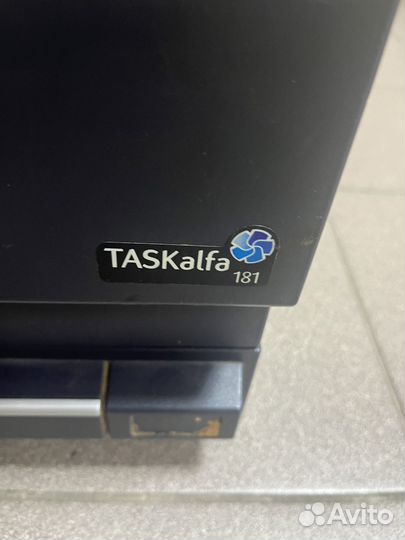 Принтер а3 kyocera taskalfa 181