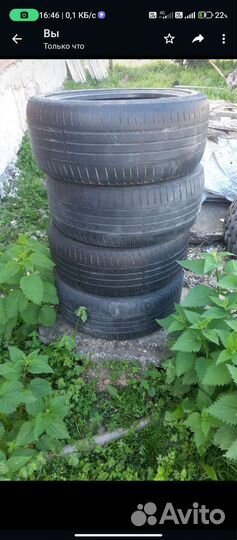 Advanta Xcomp MT 5 R18 31