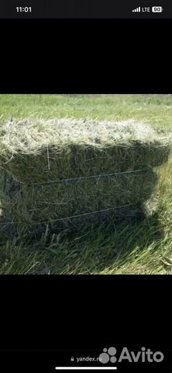Сено в тюках