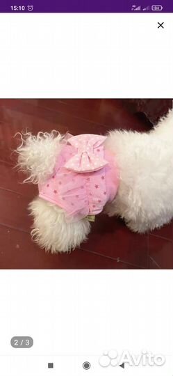 Трусы многоразовые при течки собаке новые