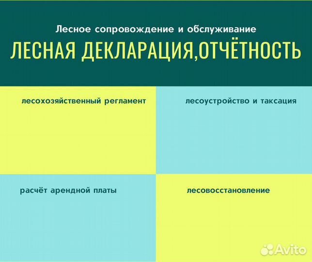 Подготовка и согласование лесных деклараций, отчёт