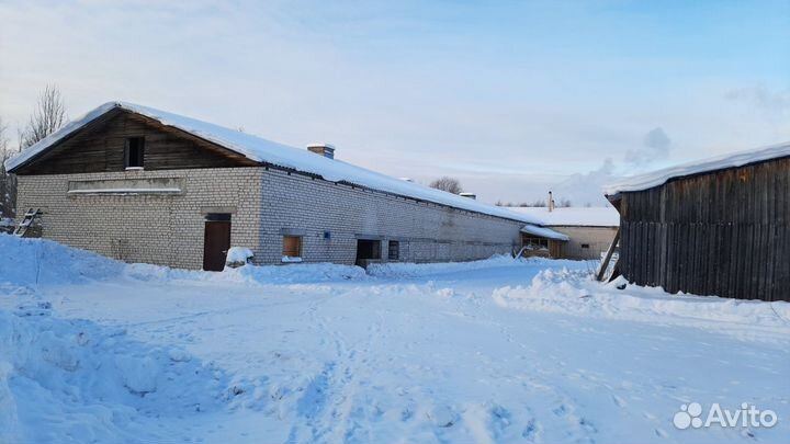 Пилорама.Ферма.База