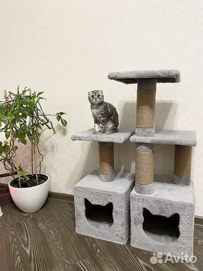 Домик когтеточка для котят