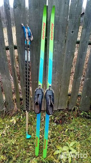 Беговые лыжи