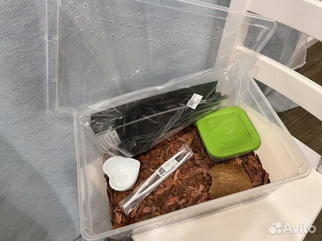 Стартовый набор для эублефара (террариум)