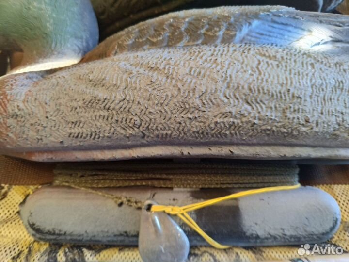 Чучела уток для охоты, новые- отгружены, РФ