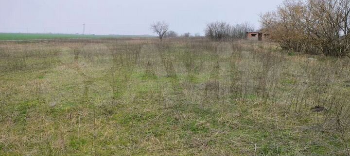 Участок 10 сот. (СНТ, ДНП)