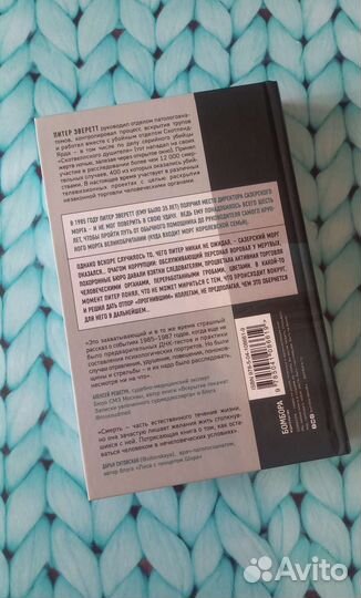 Прогнившие насквозь