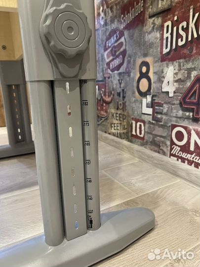 Растущая парта и стул Деми