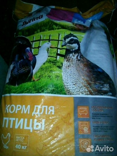 Комбикорм, опилки. кормушки