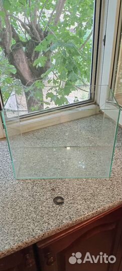 Аквариумные рыбки