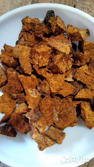 Березовый гриб чага