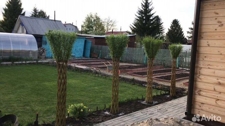 Русская Пальма 