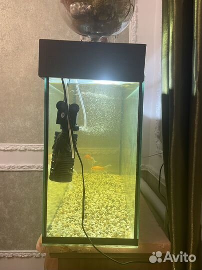 Аквариум 90 л с рыбками и тумбой