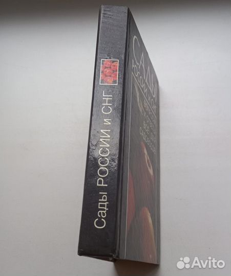 Сады России и снг. Вопросы и ответы