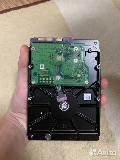Жесткий диск 500 гб для пк