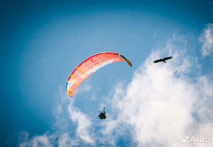 Продам параплан Градиент