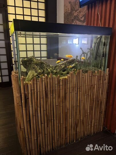 Аквариум с тумбой 300 литров