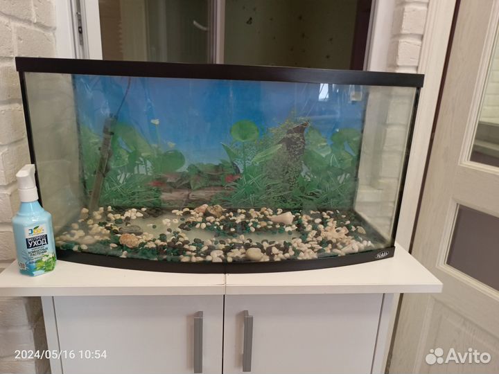 Аквариум на 80 литров