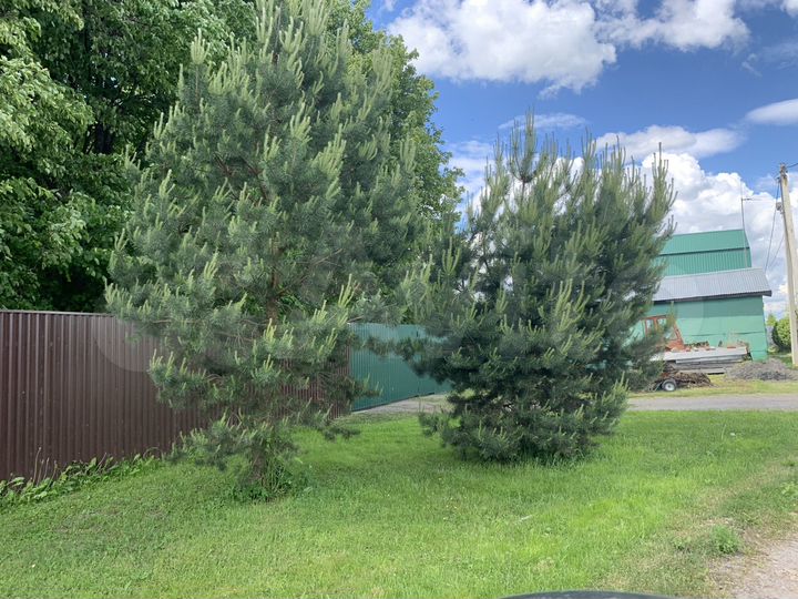 Участок 8 сот. (ИЖС)