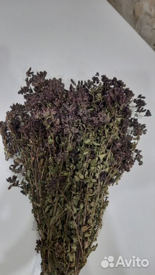 Душица сушеная