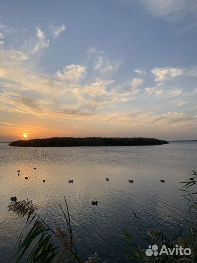 Чучела уток- активная оснастка