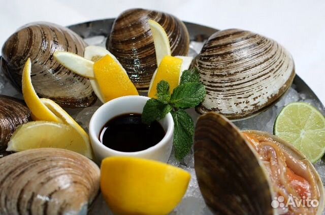 Спизула (песчанка)