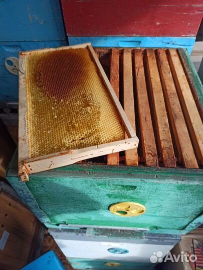 Ульи дадан 10 рамочный