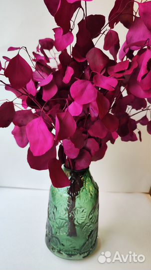 Эвкалипт крашеный декор для дома