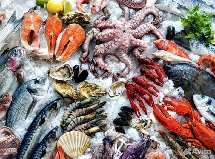 Морепродукты, кальмары, рыба в ассортименте
