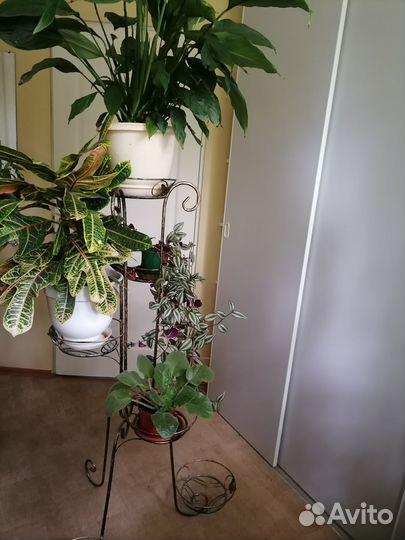 Стойка металлическая для цветов