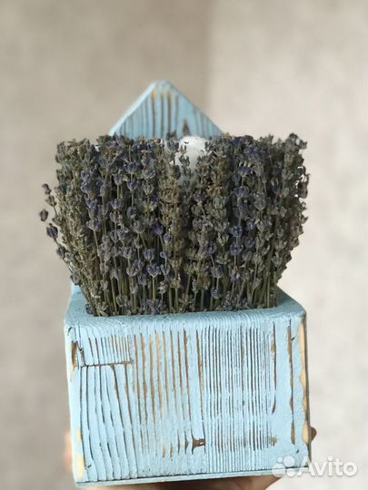 Сухоцветы в кашпо