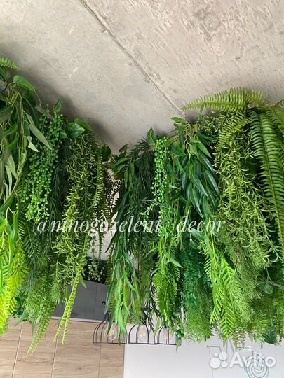 Ампельные (свисающие) растения, подвесные сады