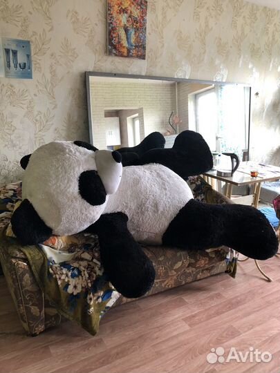 Медведь. Панда