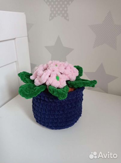 Вязаные цветы. Орхидея, фиалки, кактус
