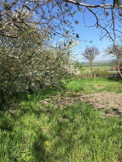 Участок 5 сот. (СНТ, ДНП)